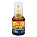 Spray para Garganta Própolis e Gengibre Melagrião Sabor Menta 30ml