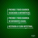Probiótico Floratil AT 250mg em Pó 6 envelopes