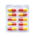 Gripeol Paracetamol 400mg + Cloridrato Fenillefrina 4mg + Maleato de Clorfeniramina 4mg 10 cápsulas